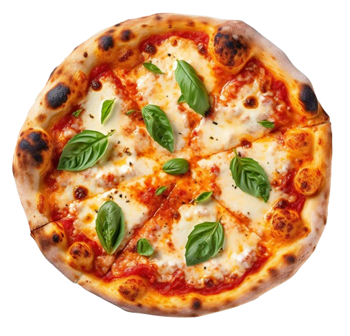 Special Margherita Pizza